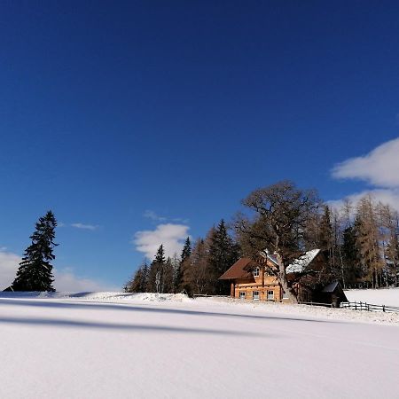 Ferienhaus Bichlhuette Pruggern Exteriör bild