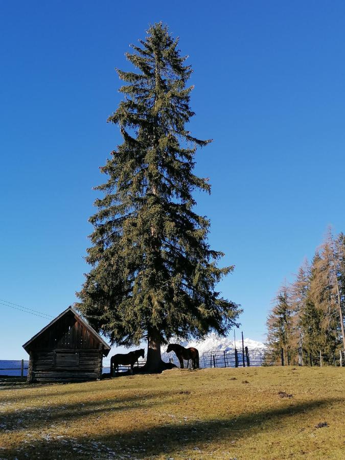 Ferienhaus Bichlhuette Pruggern Exteriör bild