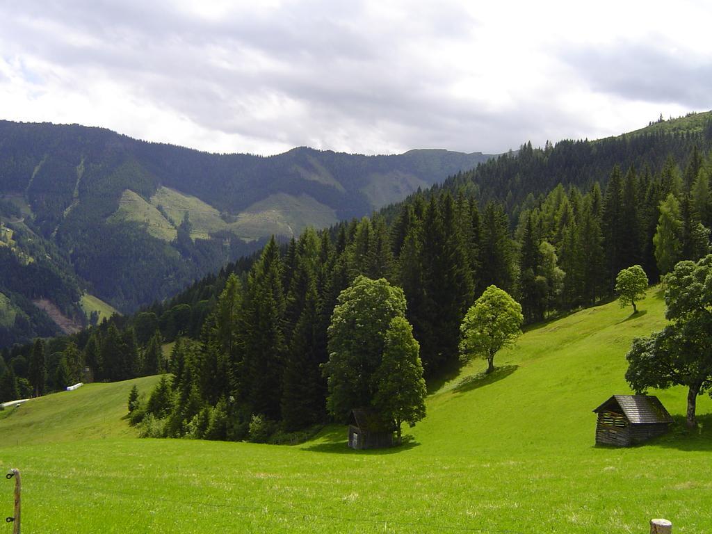 Ferienhaus Bichlhuette Pruggern Rum bild