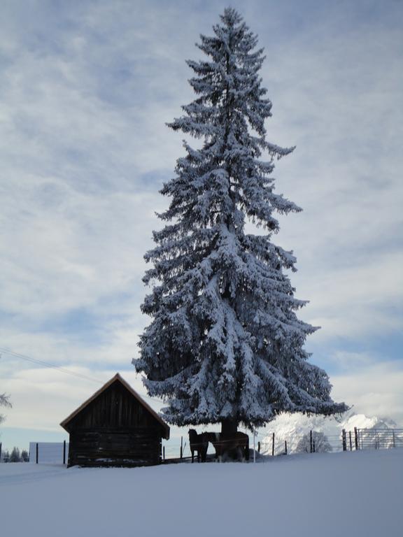 Ferienhaus Bichlhuette Pruggern Rum bild